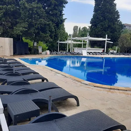 Detelina Złote Piaski