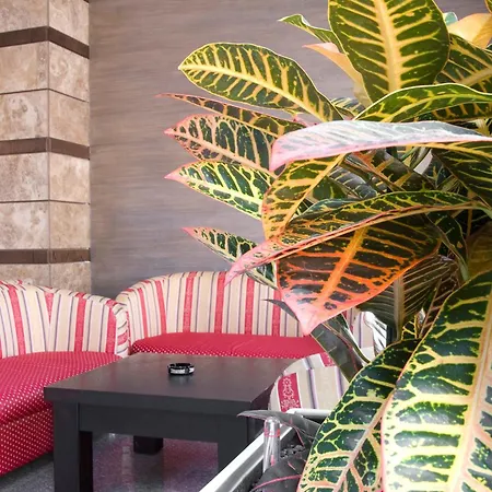 迪特琳娜酒店 3*