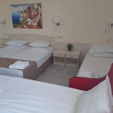 Detelina Hotell 3*