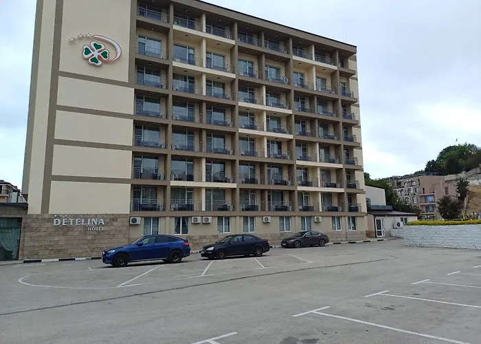 Detelina Hotel 3*