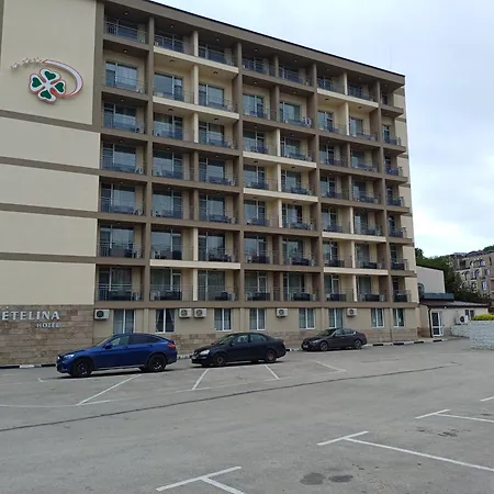 Detelina Отель 3*