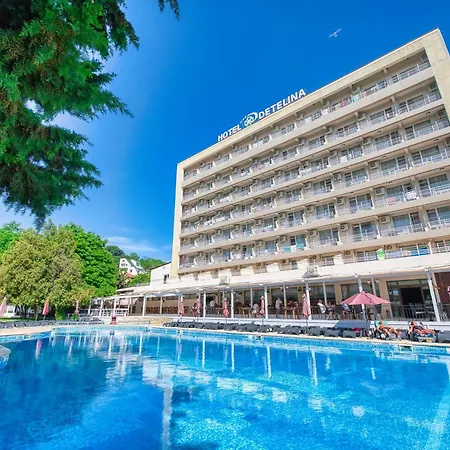 Detelina Hotel 3*