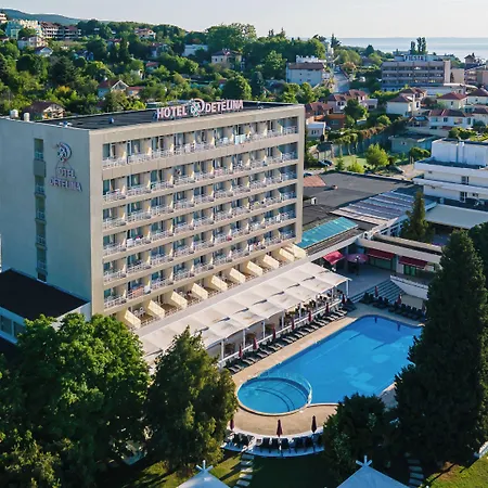 Hotel Detelina 3*